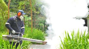 Best Pest Exclusion Services  in Sherwood, OH